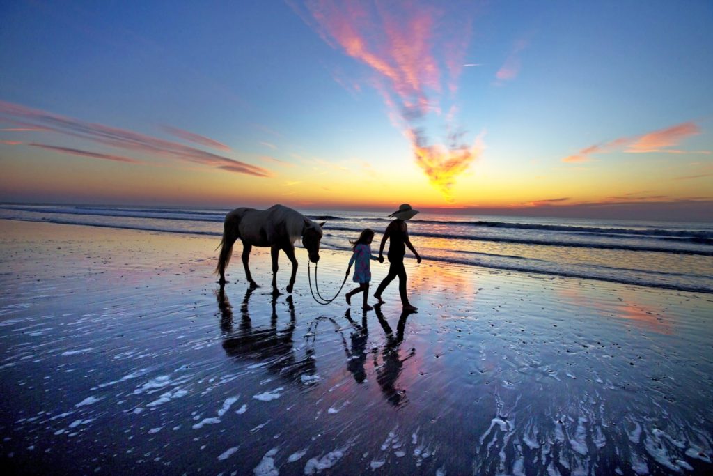 VisitFlorida Bilder