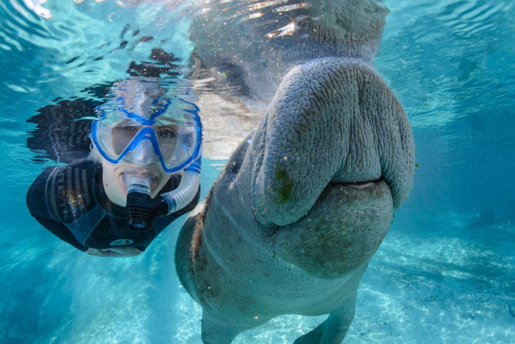 VisitFlorida Bilder