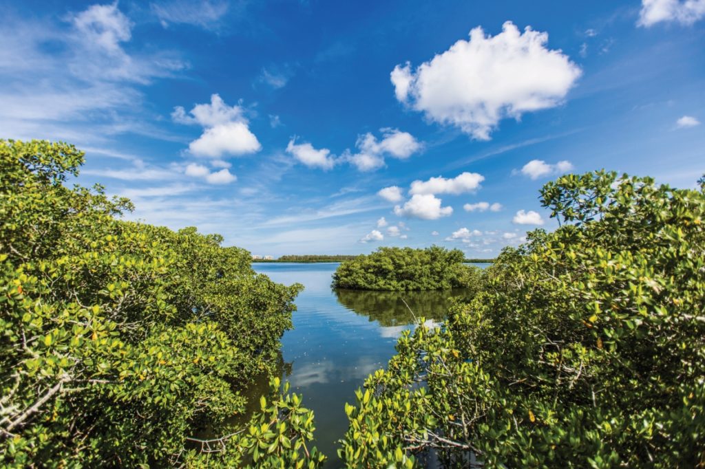Visit Sarasota County Bilder