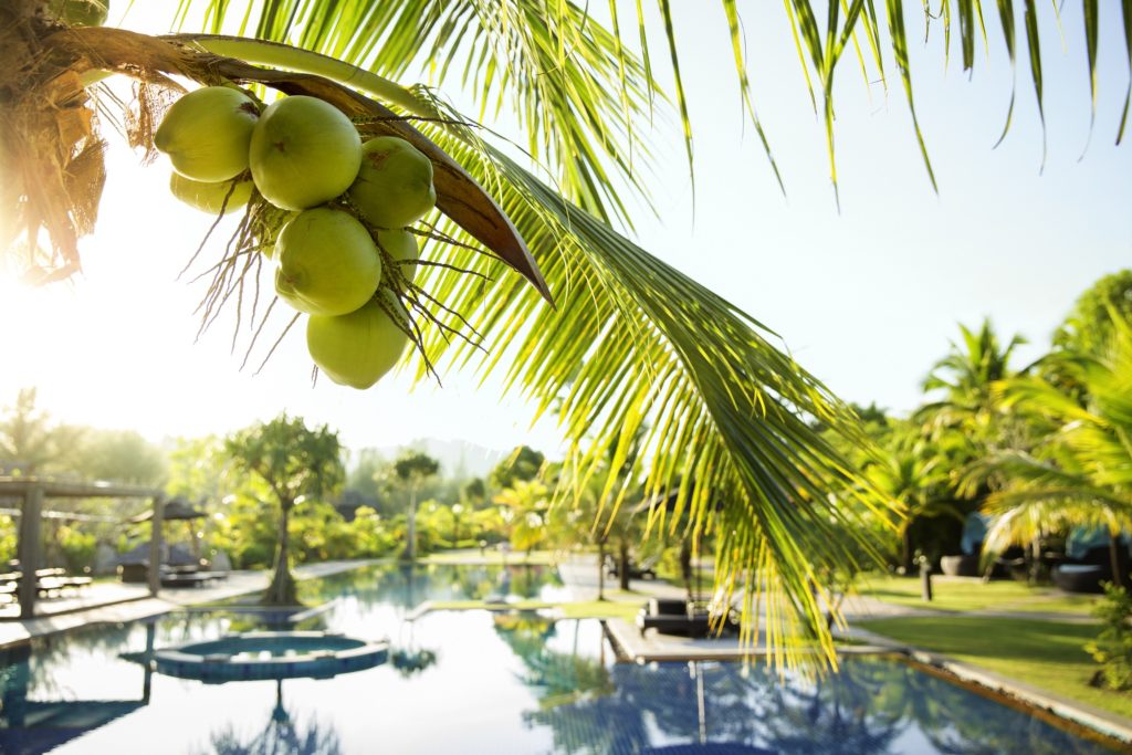 Robinson Club Bilder