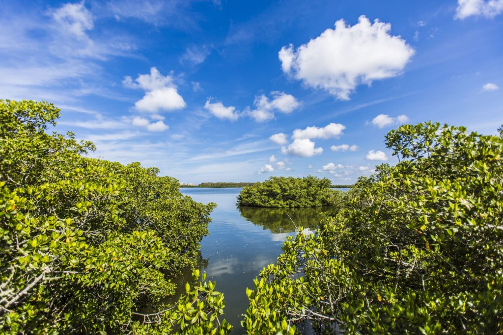 Visit Sarasota County Bilder