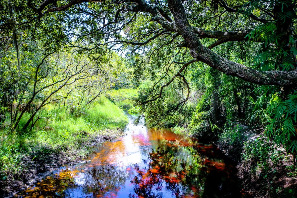 Visit Sarasota County Bilder