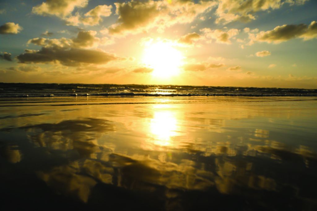 Visit Sarasota County Bilder