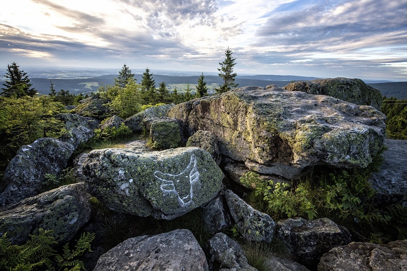 Ochsenkopfgipfel im Fichtelgebirge (c) F. Trykowski