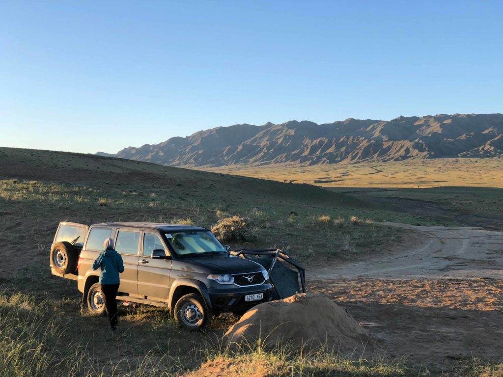 Escape to Mongolia Bilder