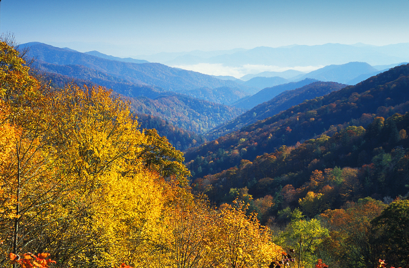 Der Smoky Mountains National Park in North Carolina, ©VisitNC.com