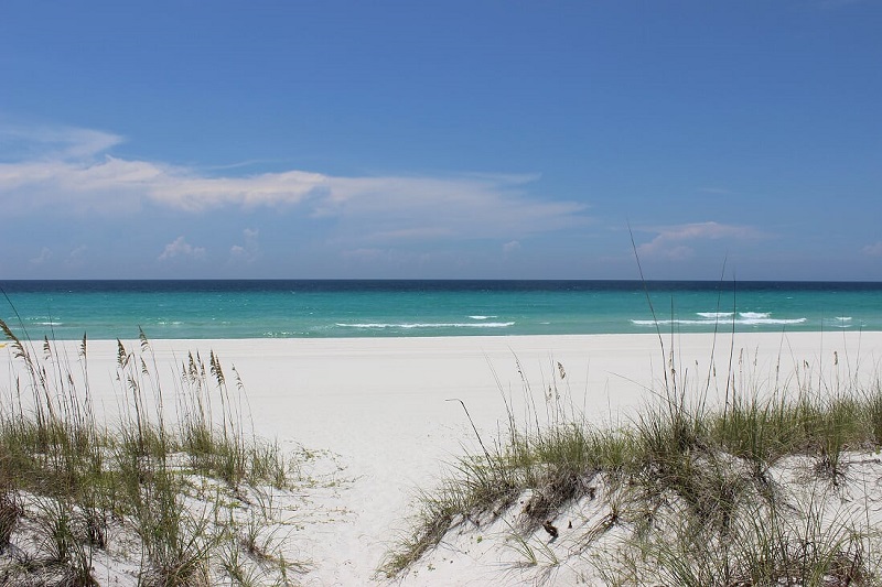 Beach dunes © Panama City Beach