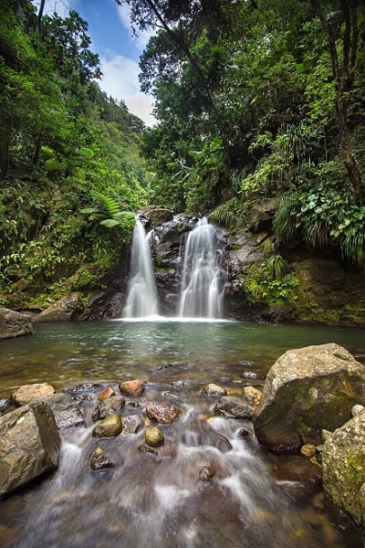 Pool im Regenwald auf Martinique_© Comité Martiniquais du Tourisme