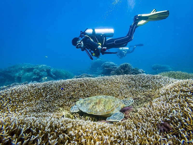 AYANA Orca Nation Diving (c) AYANA Hotel