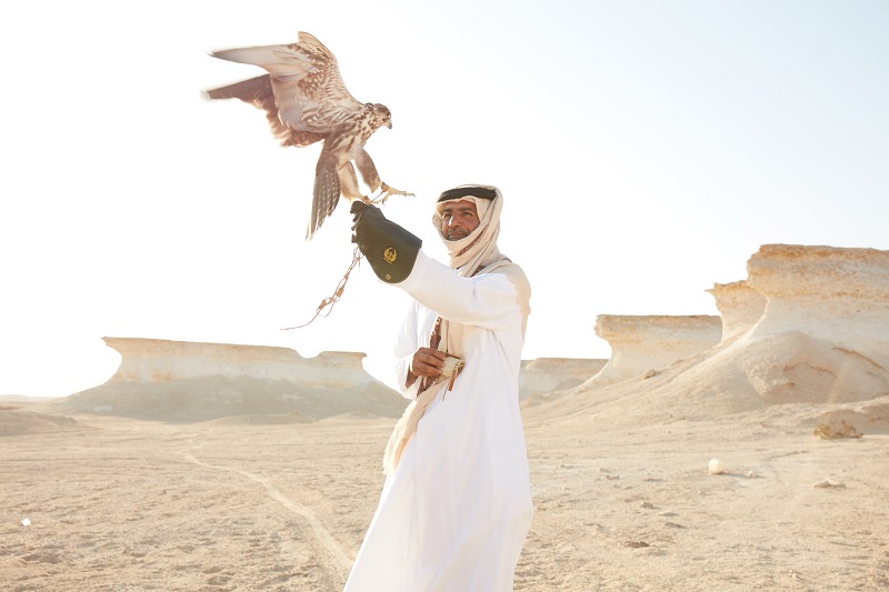 Falcony_Copyright Qatar National Tourism Council