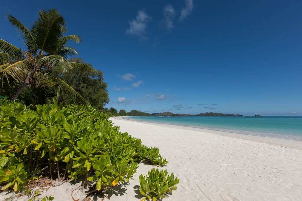 Der Salazie-Track ist neben dem Pasquière-Track einer von zwei schönen Wanderungen auf Praslin, der zweitgrößten Insel der Seychellen.