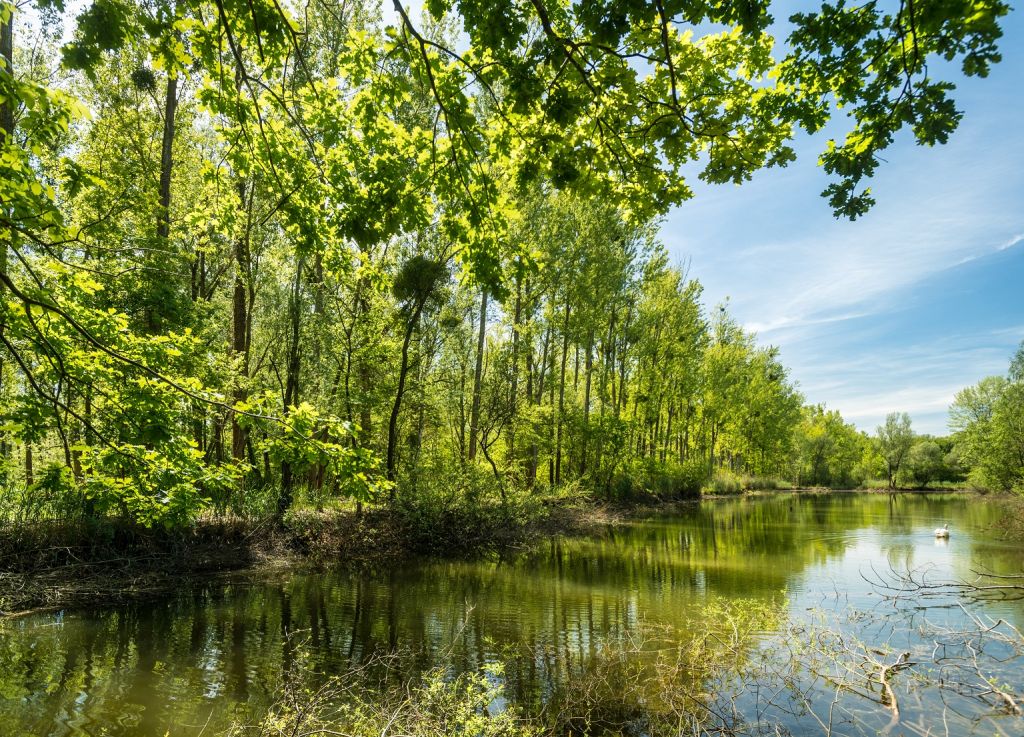Treidlerweg in der Südpfalz 