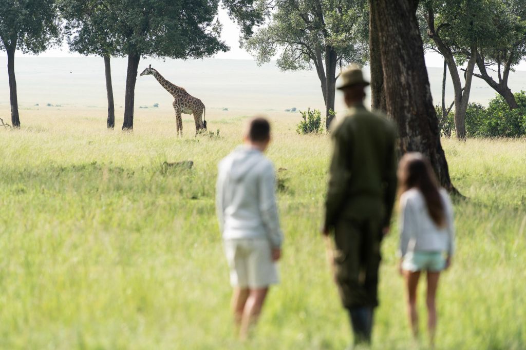 Besucher und Gäste der Governors' Camps erwarten im Masai Mara Game Reserve in Kenia eine einzigartige Wanderung: Was sonst nur aus einem Fahrzeug heraus sichtbar wird, erschließen die geführten Walking Safaris in einem an das Masai Mara Wildreservat angrenzendem Gebiet zu Fuß.