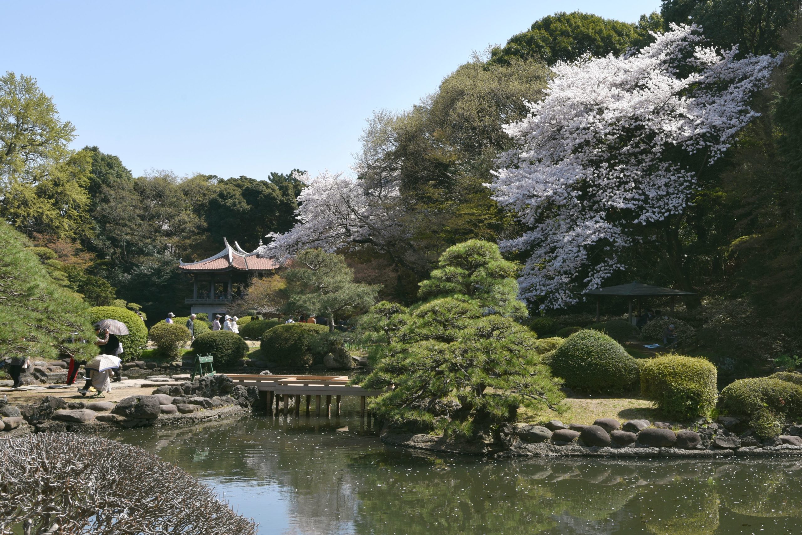 Besonders im Frühling ist der Shinjuku Gyoen einer der meistbesuchten Gärten Tokios. Dann tauchen die mehr als 1.500 Kirschbäume den Nationalgarten in ein Meer aus Rosatönen