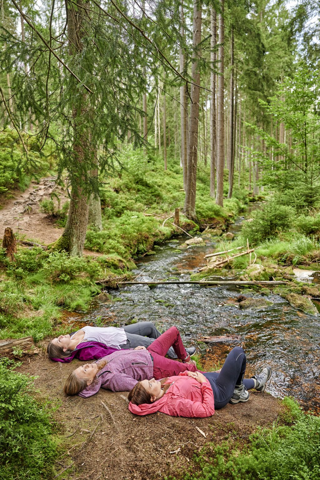 Im Fichtelgebirge entwickelt sich der Wald immer mehr zum Wohlfühlort und gewinnt als natürliches Heilmittel an Bedeutung. 