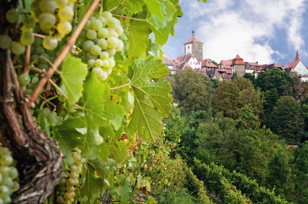 Augen auf beim Spaziergang: Dass sich das lohnt, zeigt Sonja Weigand bei einem Kurs in der Wildkräuterwerkstatt in Neusitz bei Rothenburg ob der Tauber. 