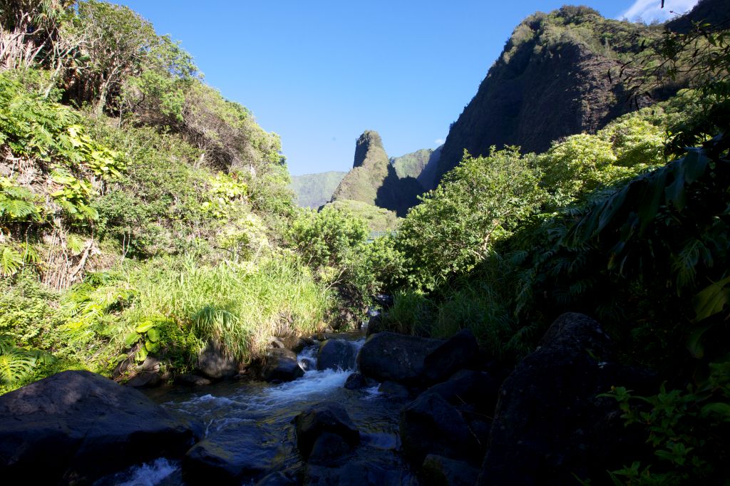 Die sogenannte „‘Īao Needle“ wurde 1972 zum nationalen Naturdenkmal ernannt. 1790 fand hier die Schlacht von Kepaniwai zwischen König Kamehameha I und Mauis König Kalanikūpule und ihren Kämp-fern statt. 