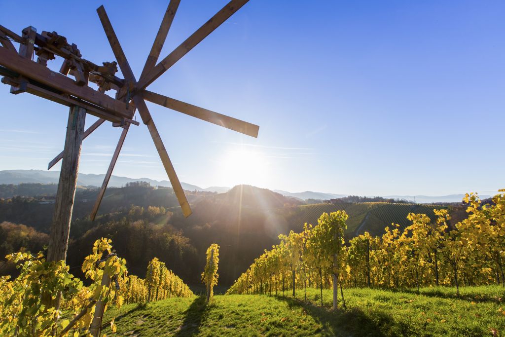 Die großen Klapotetze sollen unerwünschte Traubendiebe vertreiben. Der Name der traditionellen Windräder oder Vogelscheuchen ist auf das slowenische Wort für klappern, „klopotec“, zurückzuführen