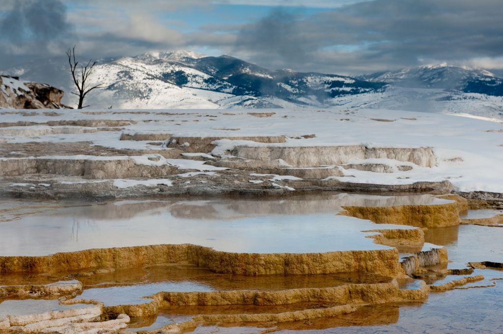 Mammoth Hot Springs terraces, Yellowstone National Park