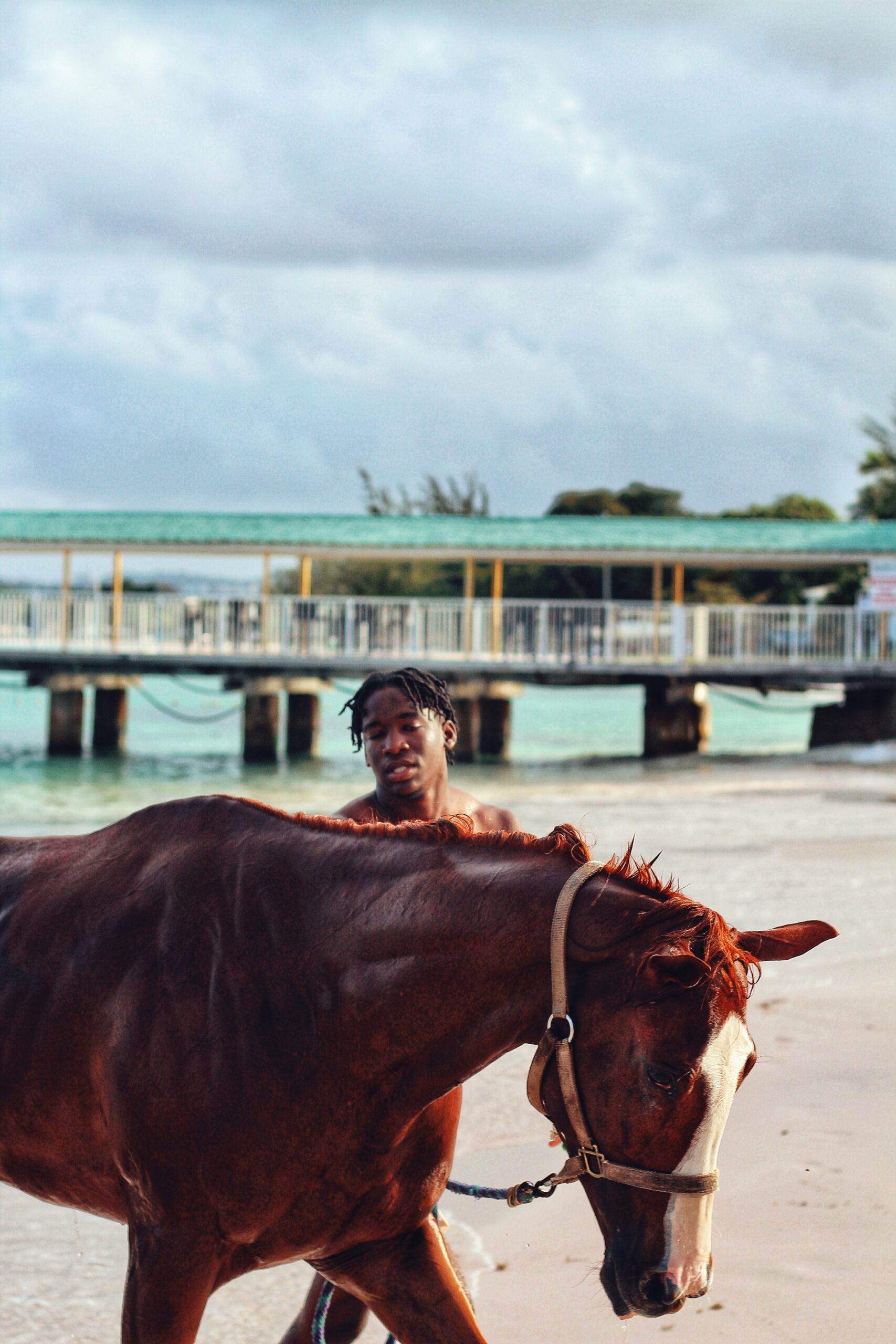 Frühaufsteher erwartet auf Barbados ein besonderes Ritual: Die Trainer von der Pferderennbahn Garrison Savannah führen jede Woche ihre Pferde zum benachbarten Pebbles Beach, um mit ihnen ein frühmorgendliches Bad zu nehmen. 