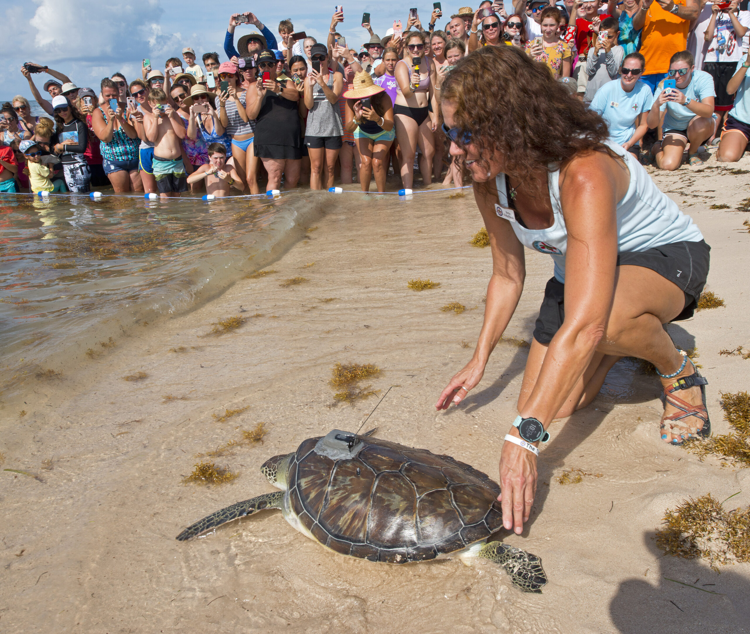 Bette Zirkelbach ist Managerin beim Marathon Turtle Hospital – dem weltweit ersten staatlich zugelasse-nen Veterinärkrankenhaus für Meeresschildkröten