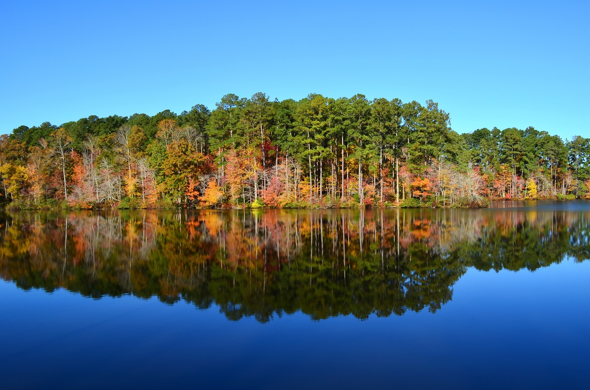 Wenn sich die Blätter bunt färben und die Natur in Tennessee langsam zur Ruhe kommt, verbringen Outdoor-Liebhaber und Familien in den 56 Naturparks einen erholsamen Urlaub fernab des Trubels. 