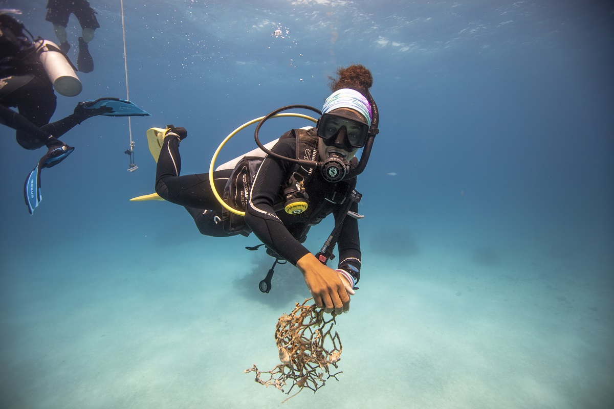 PADI: Cleanup-Tauchgänge 