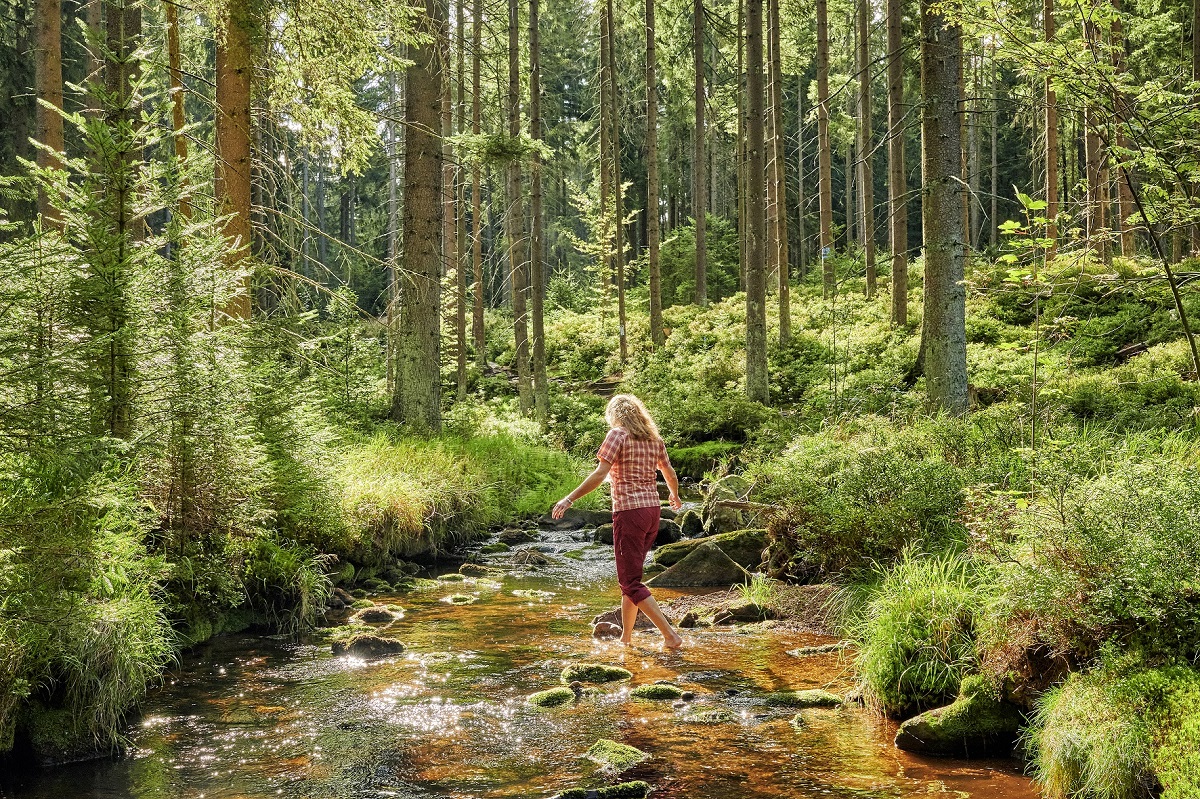 Die sogenannte Waldgesundheit ist ein immer wichtigerer Baustein im therapeutischen Bereich und gerade in Bayern sind die Voraussetzungen dank der vielen, ausgedehnten Waldgebiete dafür ideal – so auch im Fichtelgebirge. 