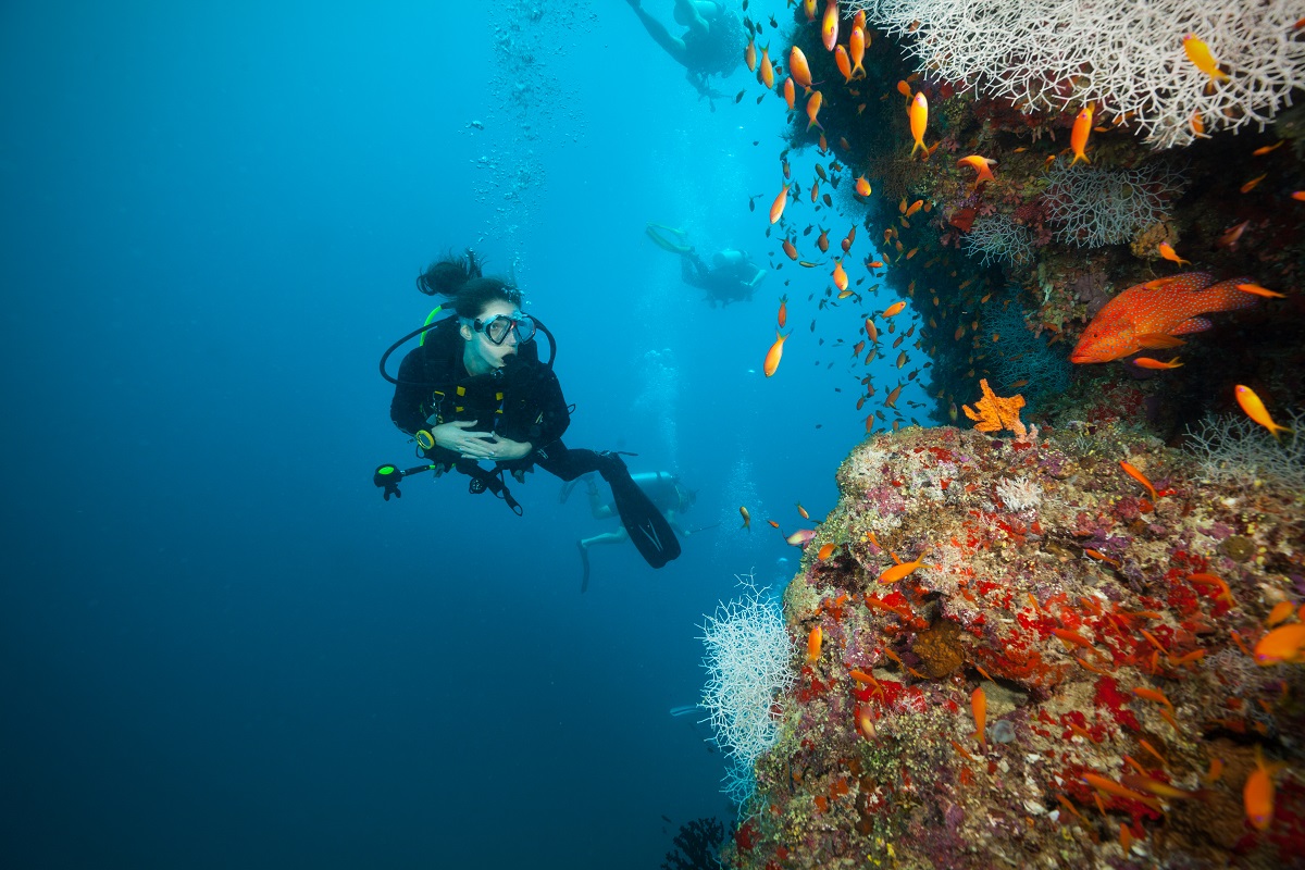 Auf den Malediven erreichen Besucher des JA Manafaru mit dem Schnellboot in nur 45 Minuten 33 der besten Tauchplätze der Malediven und stoßen auf wundersame Meeresbewohner.