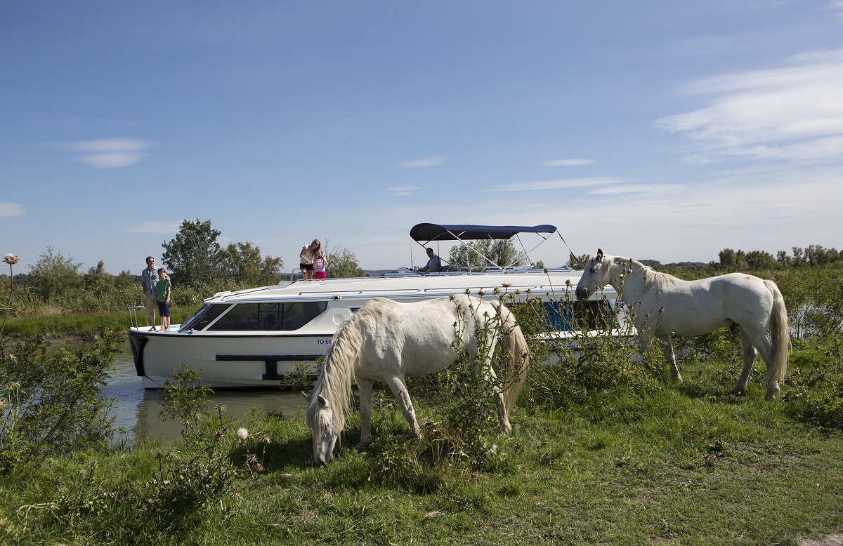 Kaum eine andere Reiseform bringt Mensch und Tier näher zusammen als ein Hausbooturlaub mit Le Boat. Von sich sonnenden Süßwasserschildkröten über wildlebende Stiere und weiße Camargue-Pferde bis hin zu verschiedensten Wattvögeln können gute Beobachter eine Vielzahl an Tieren entdecken. 