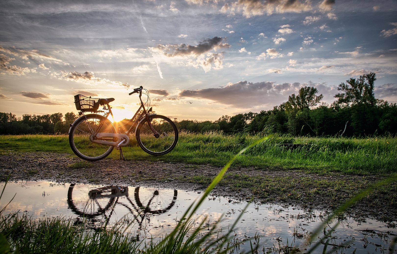 Genussradler kommen der Südpfalz dank des 500 Kilometer langen Radwegenetzes voll auf ihre Kosten.