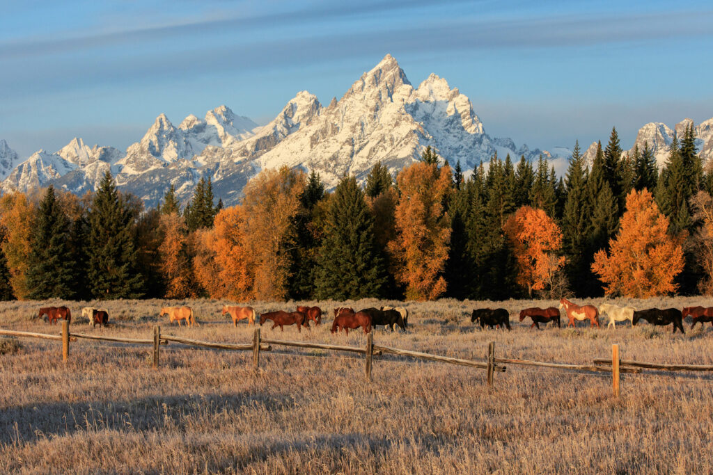 The Great American West Bilder