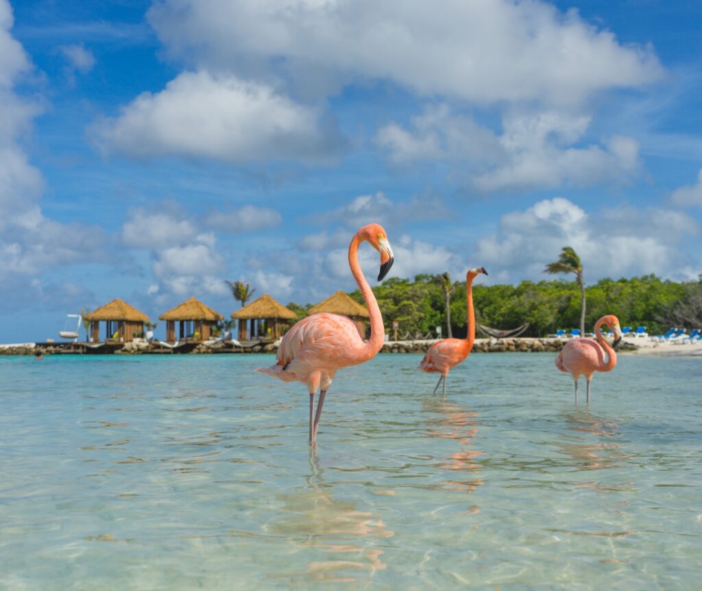 Aruba Tourism Authority Bildarchiv