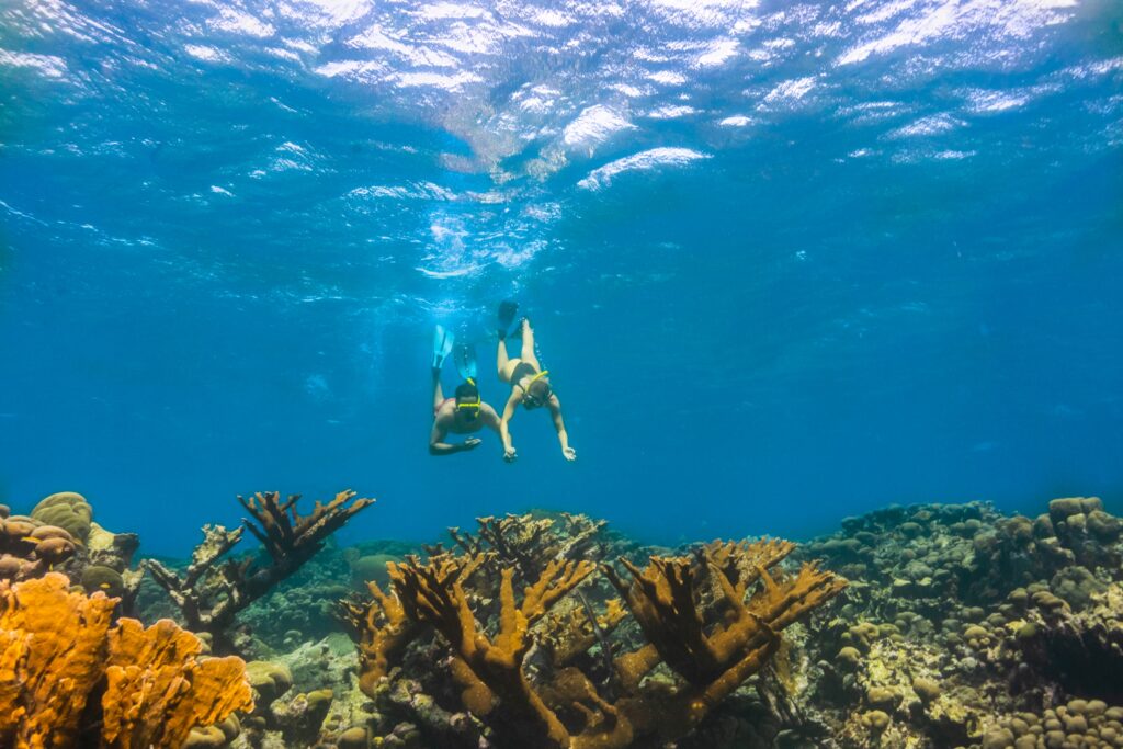 Aruba Tourism Authority Bildarchiv