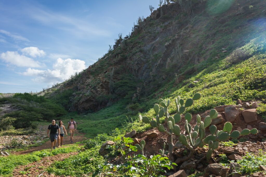 Aruba Tourism Authority Bildarchiv
